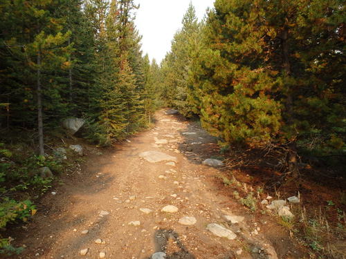 GDMBR: Road damage from last night’s rain storm.